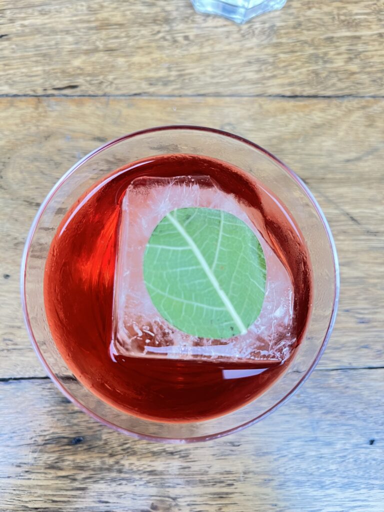 Negroni with large block of ice and a eaf.